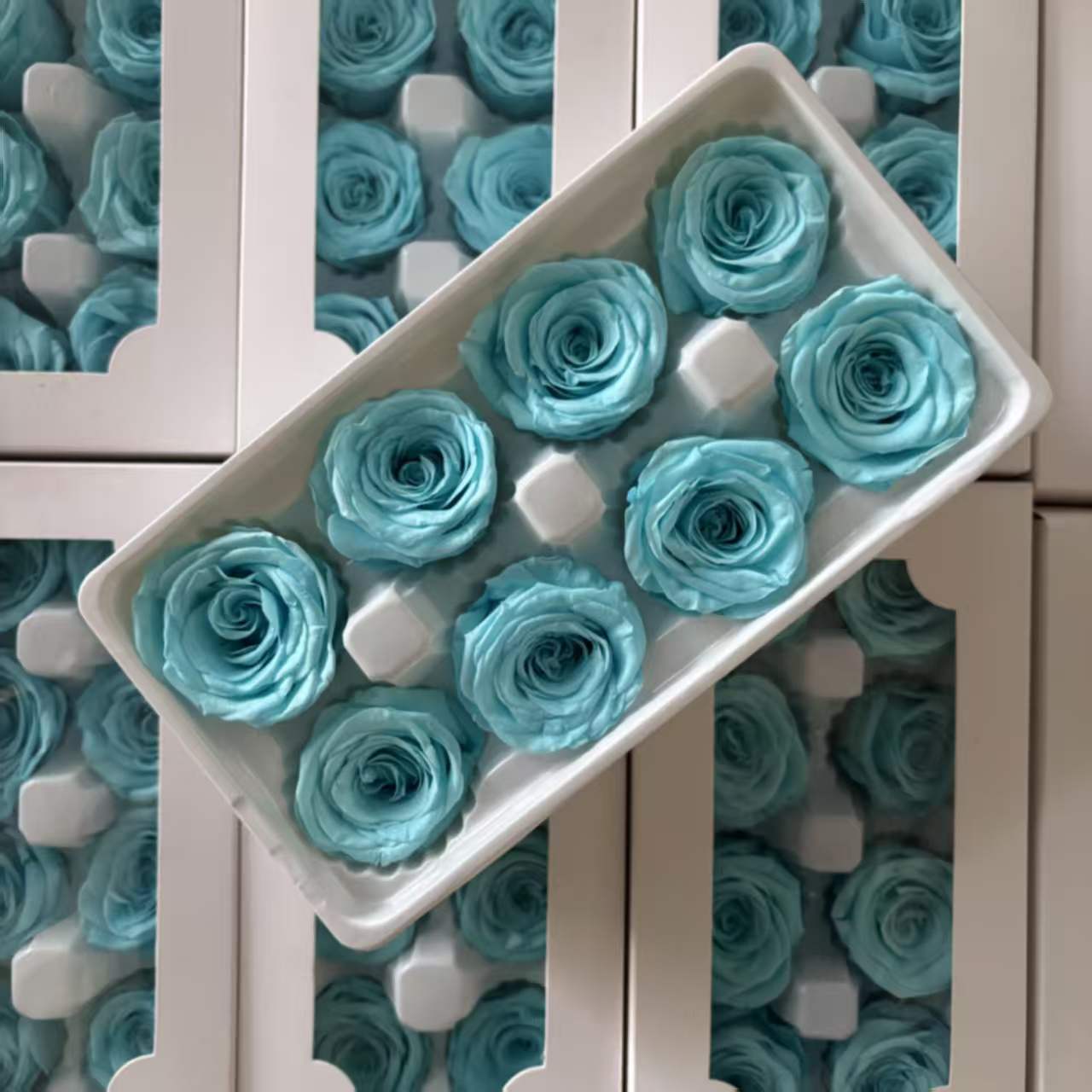 Eternal Rose Blue and Green Shades