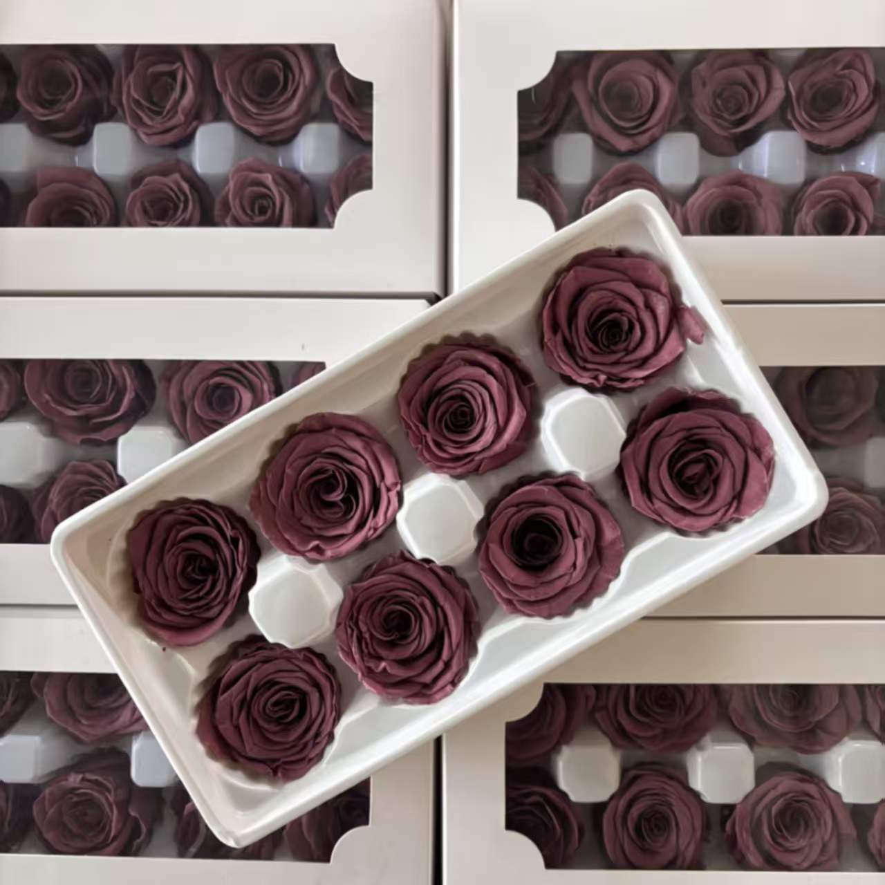Eternal Rose Black, Gray, Brown Shades