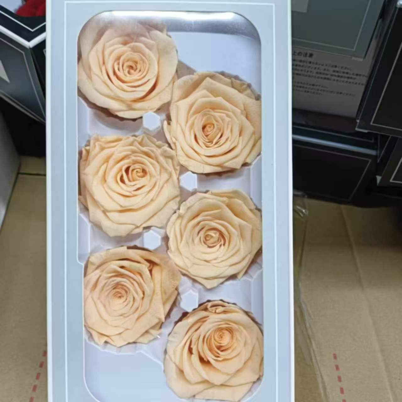 Eternal Rose White and Beige Shades