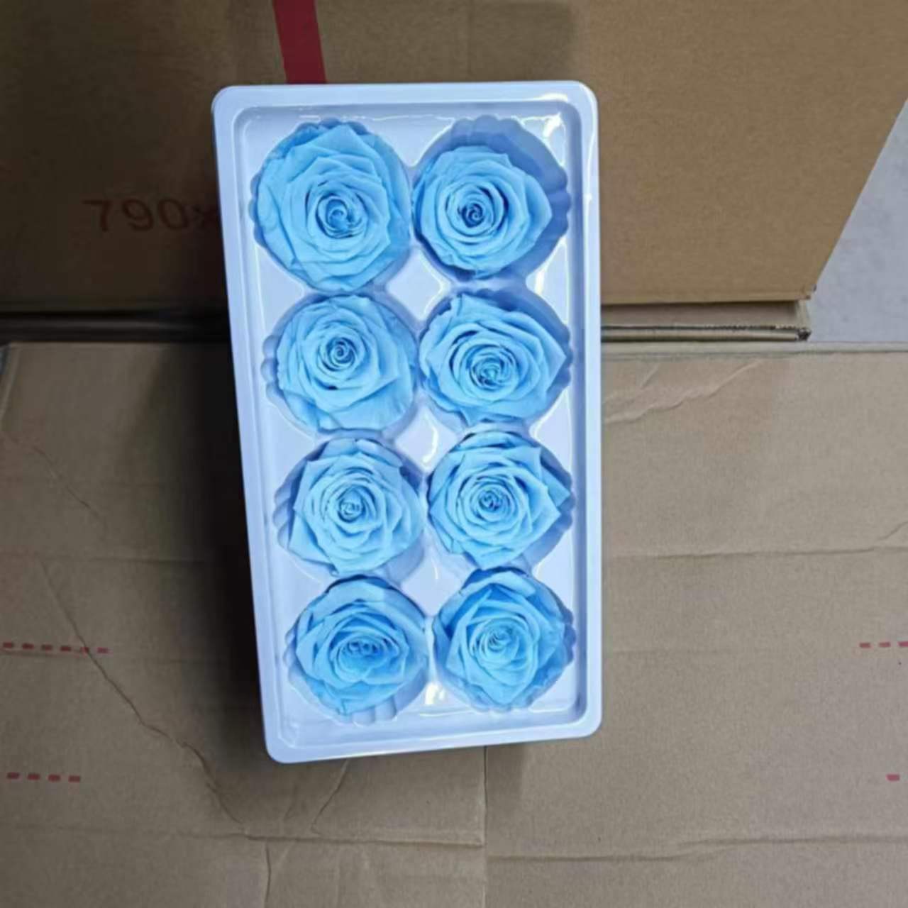 Eternal Rose Blue and Green Shades