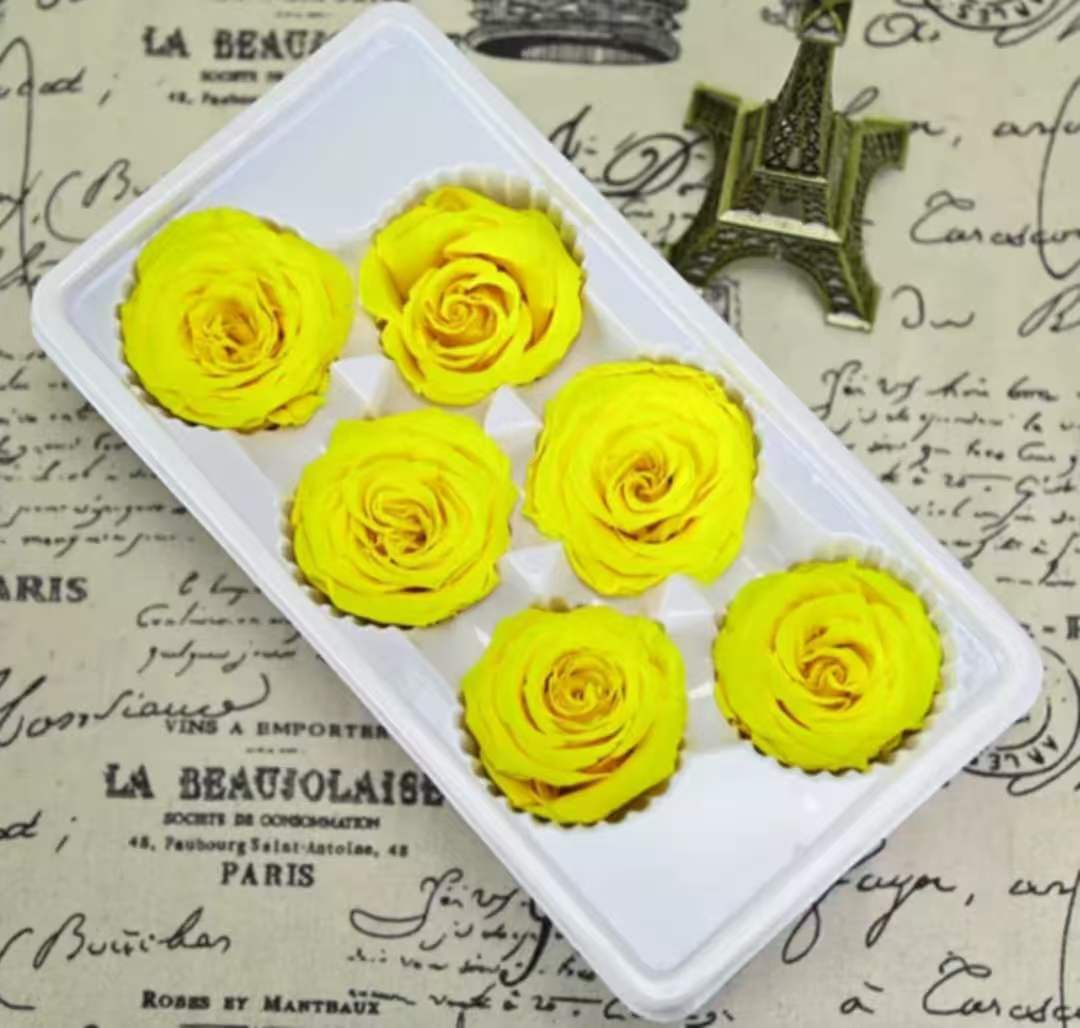 Eternal Rose Yellow and Orange Shades