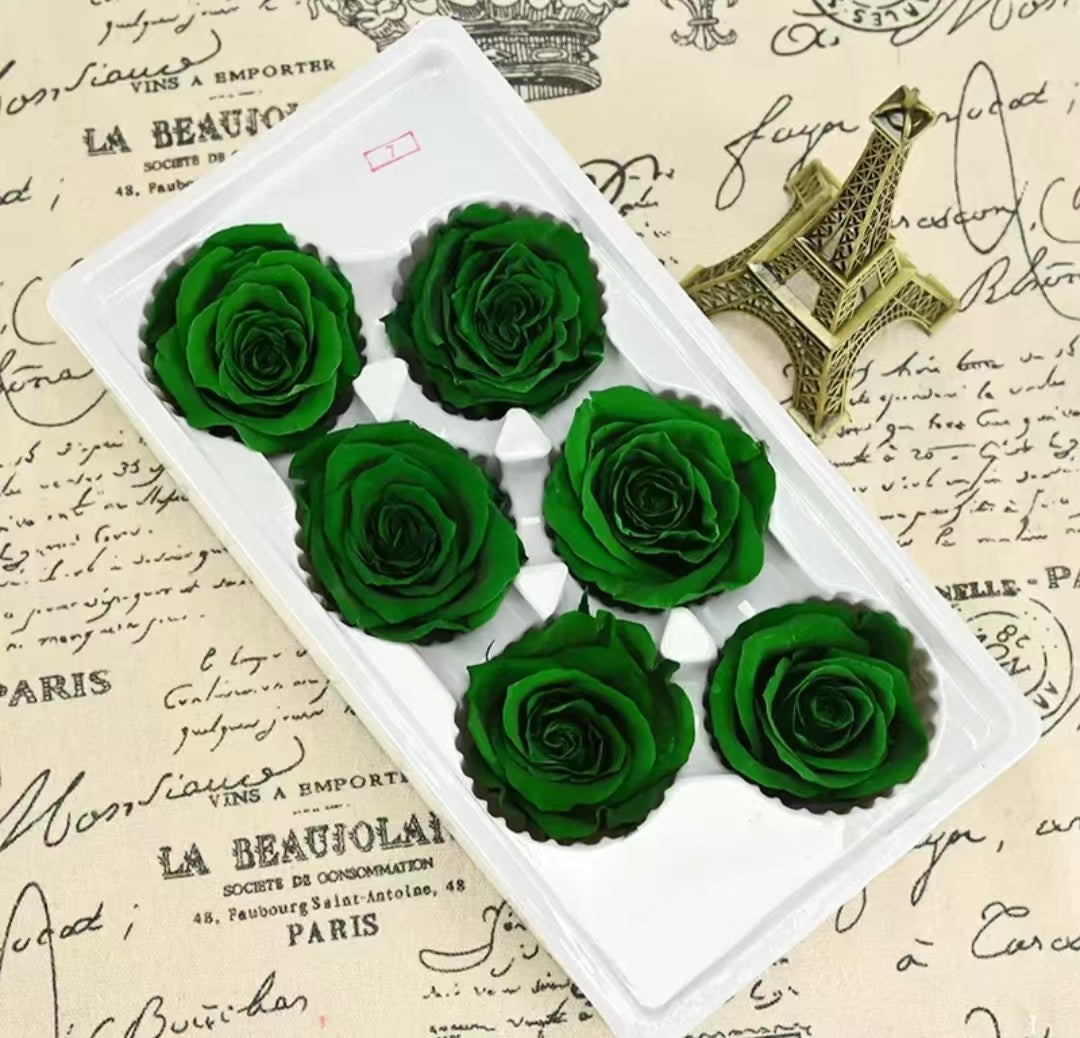 Eternal Rose Blue and Green Shades