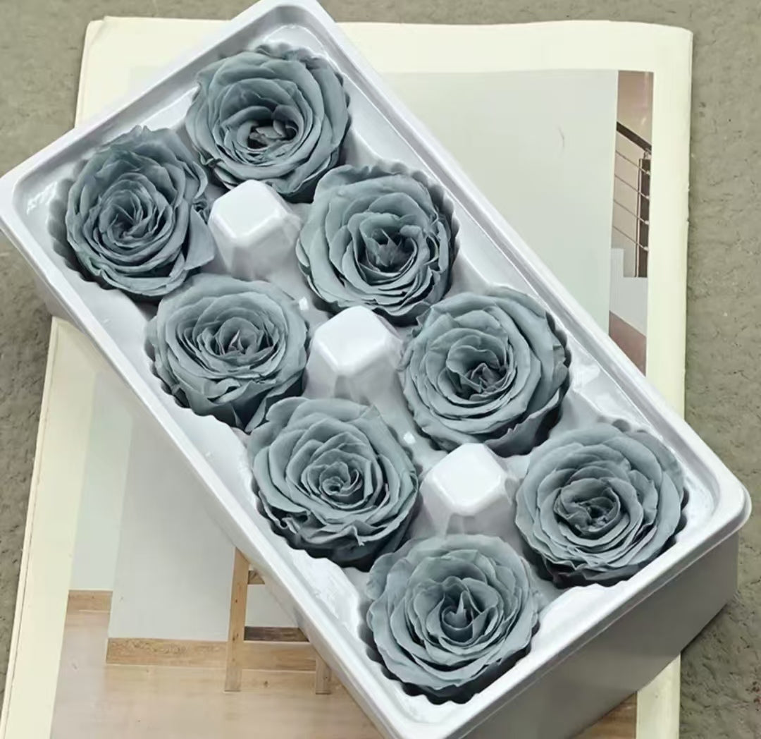 Eternal Rose Black, Gray, Brown Shades