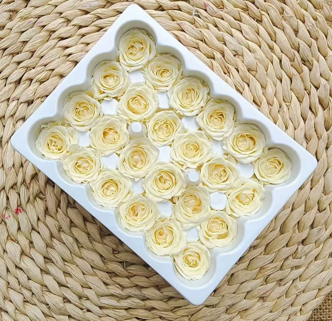 Eternal Rose White and Beige Shades
