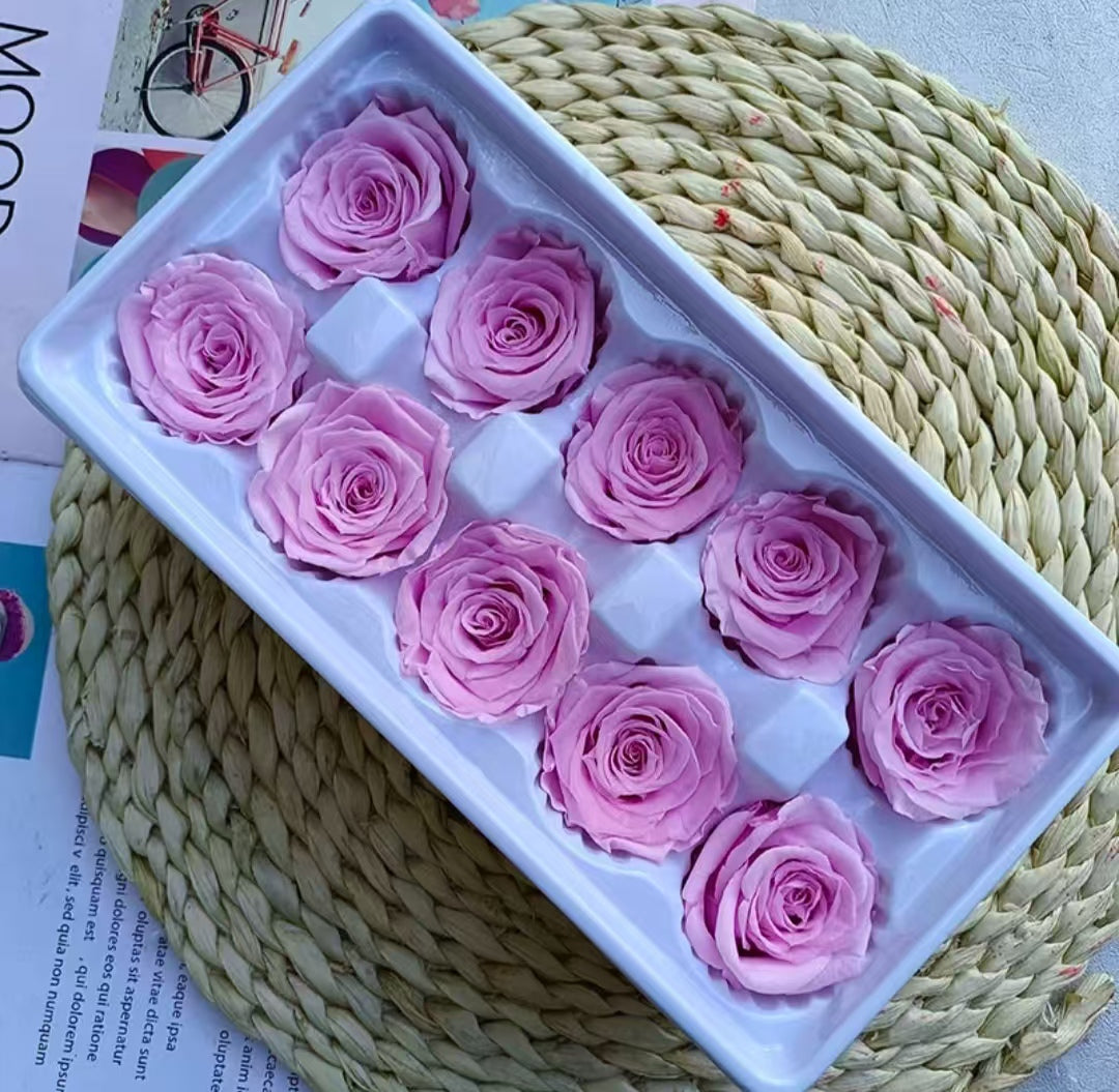 Eternal Rose Pink Shades