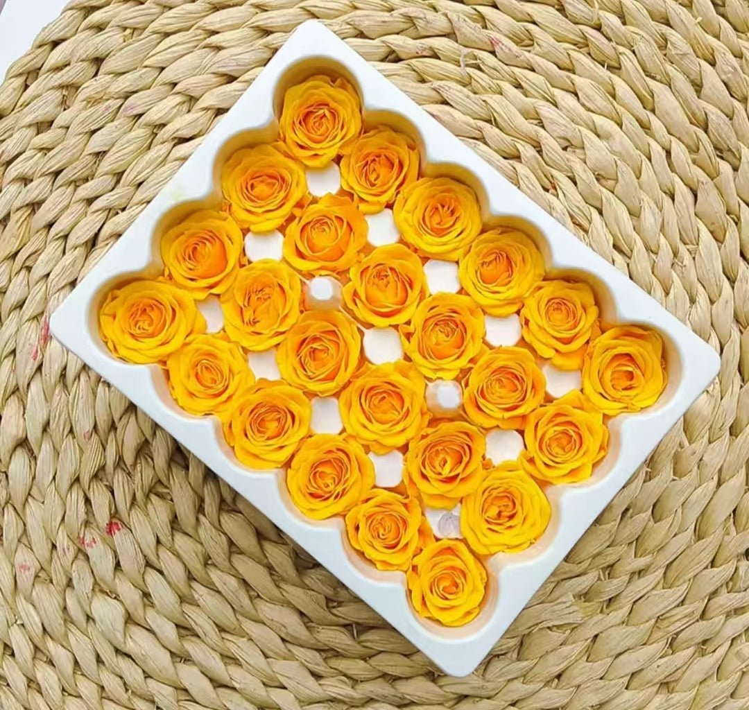 Eternal Rose Yellow and Orange Shades