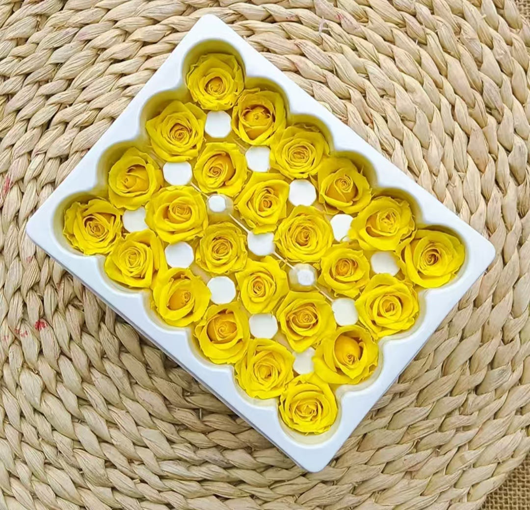Eternal Rose Yellow and Orange Shades