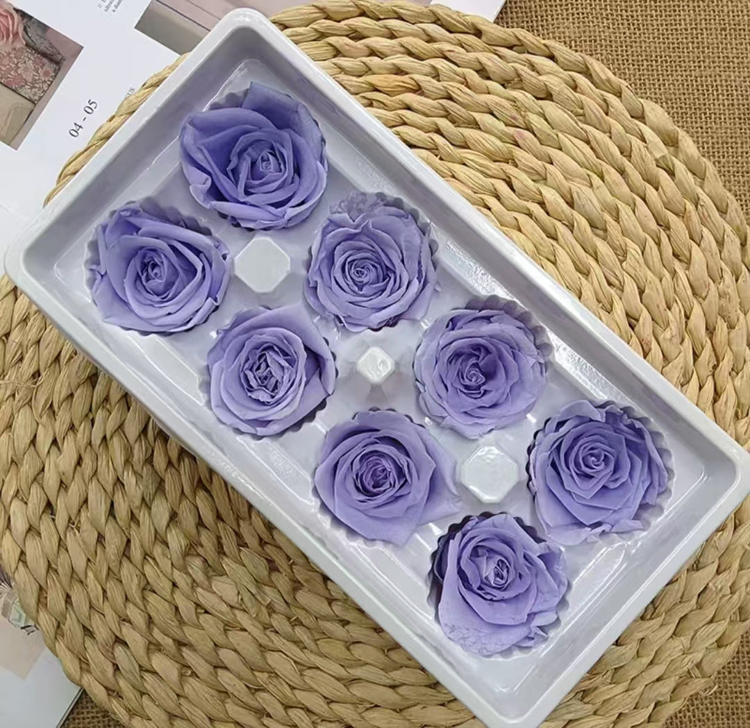 Eternal Rose Purple and Lavander Shades