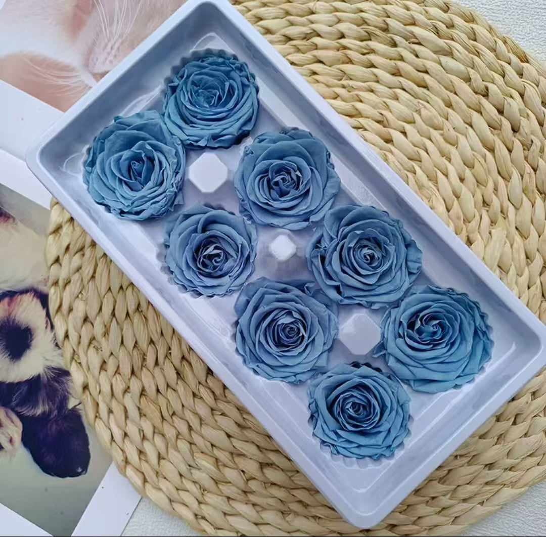 Eternal Rose Blue and Green Shades