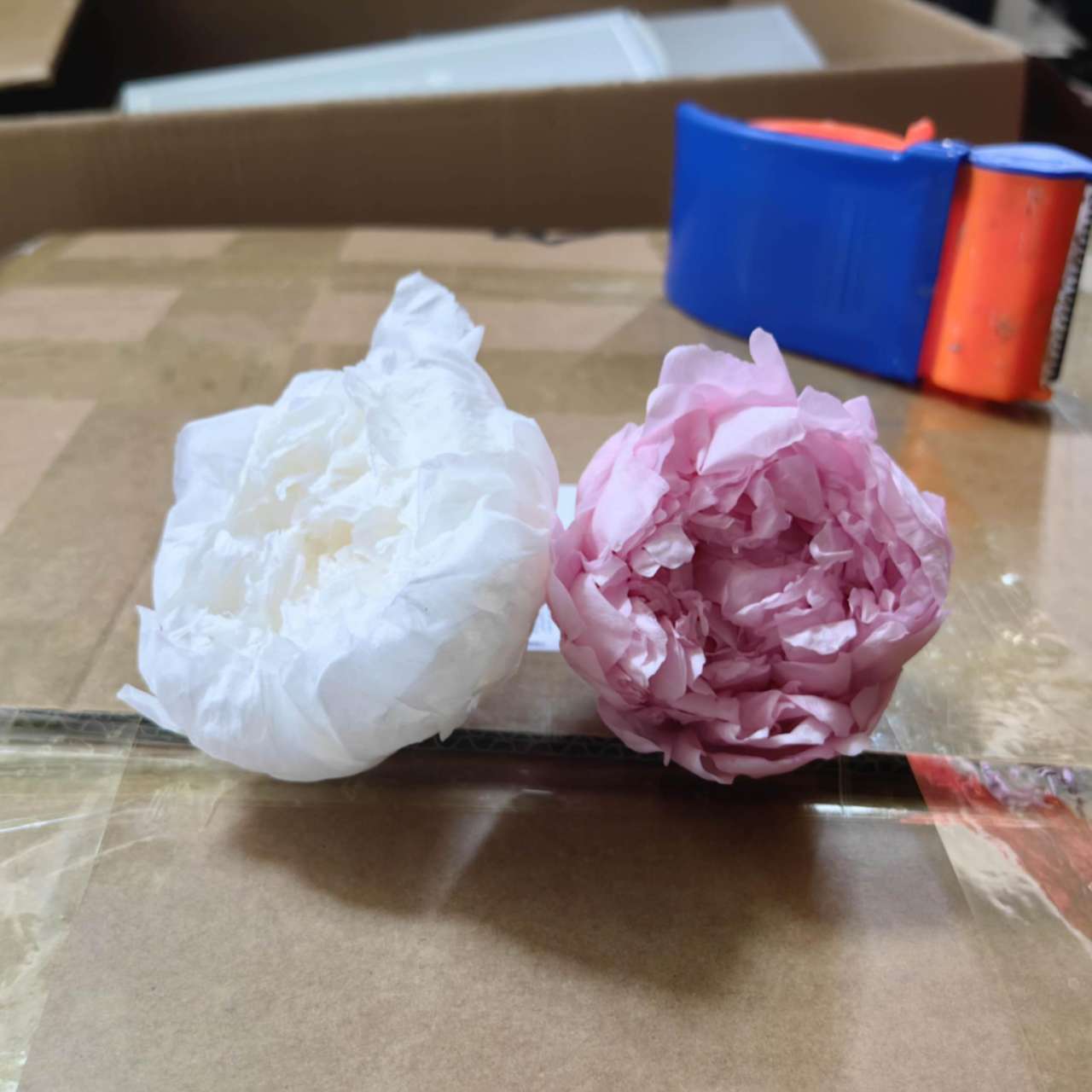Peony