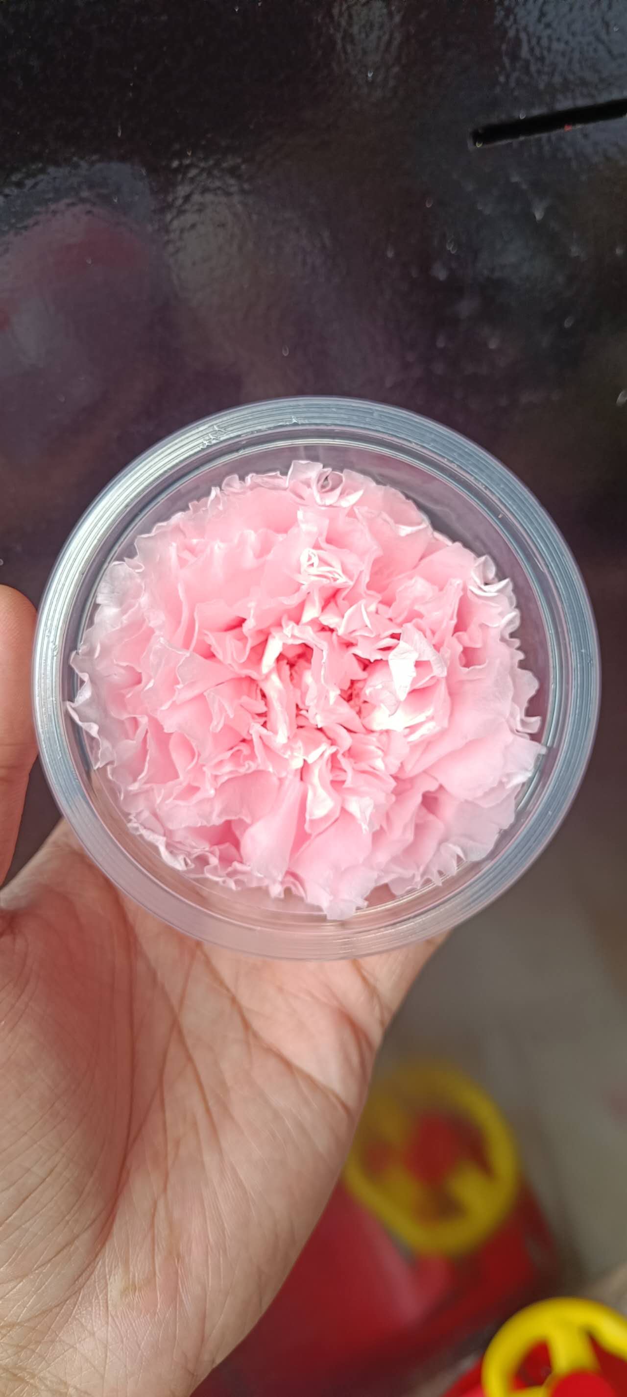 Peony