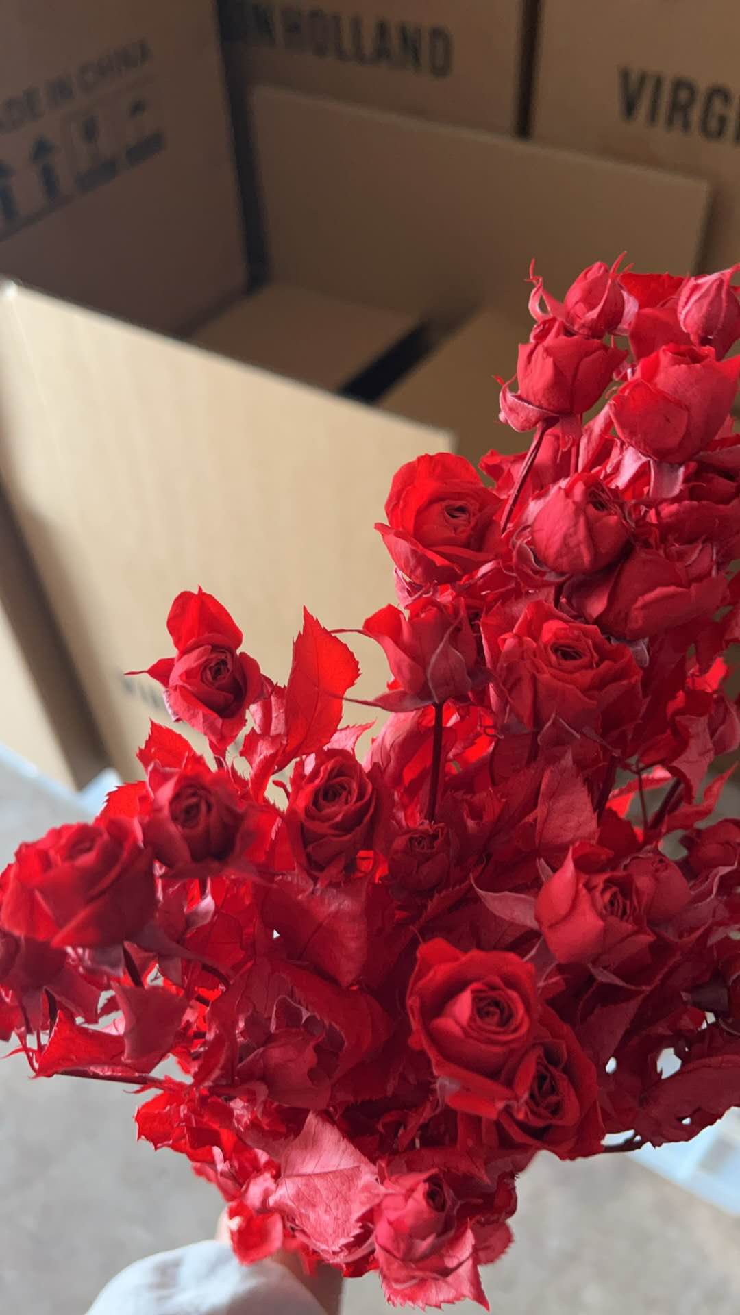 Rose with Stem
