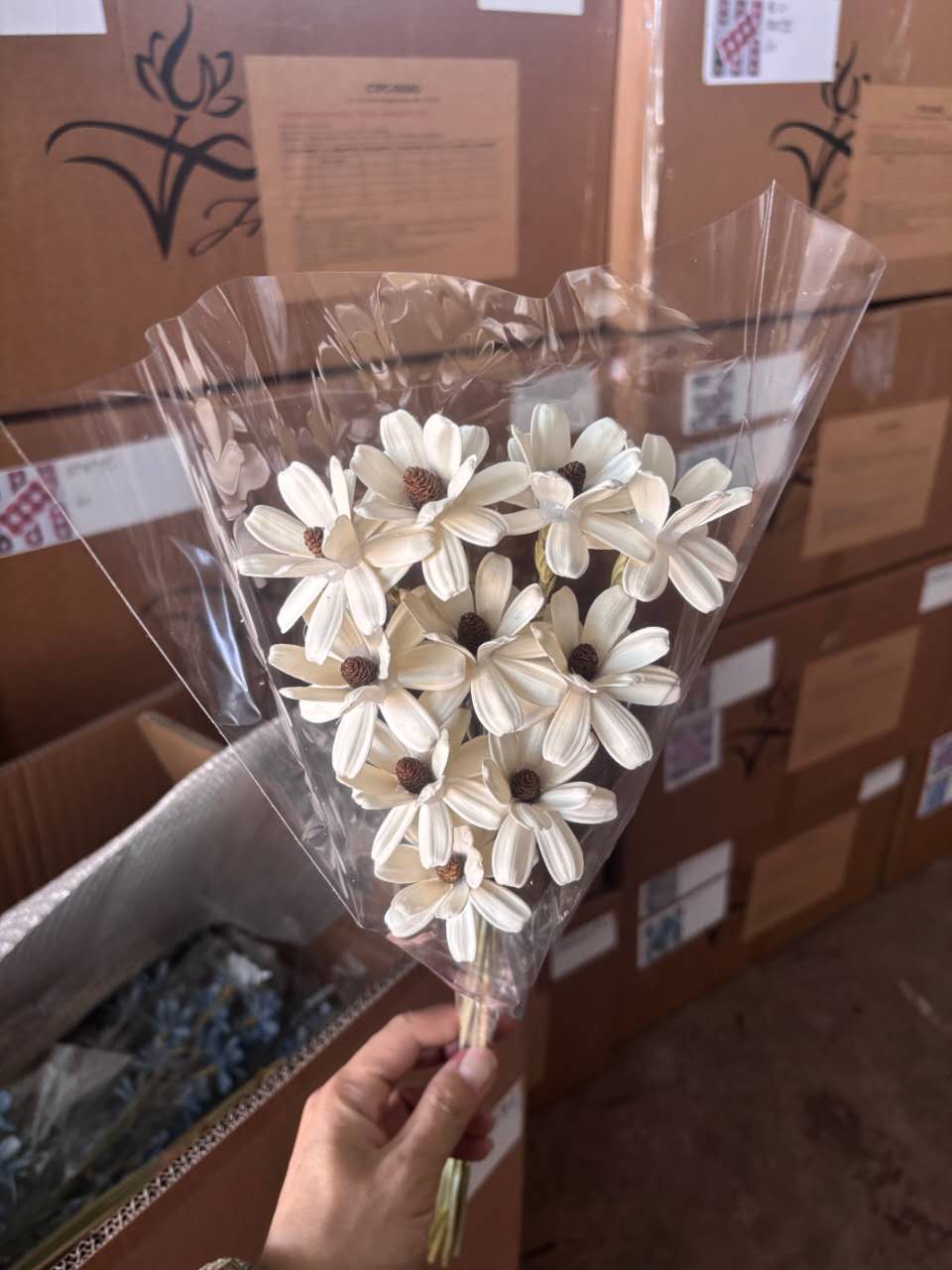 Melon Seed Wood Flower