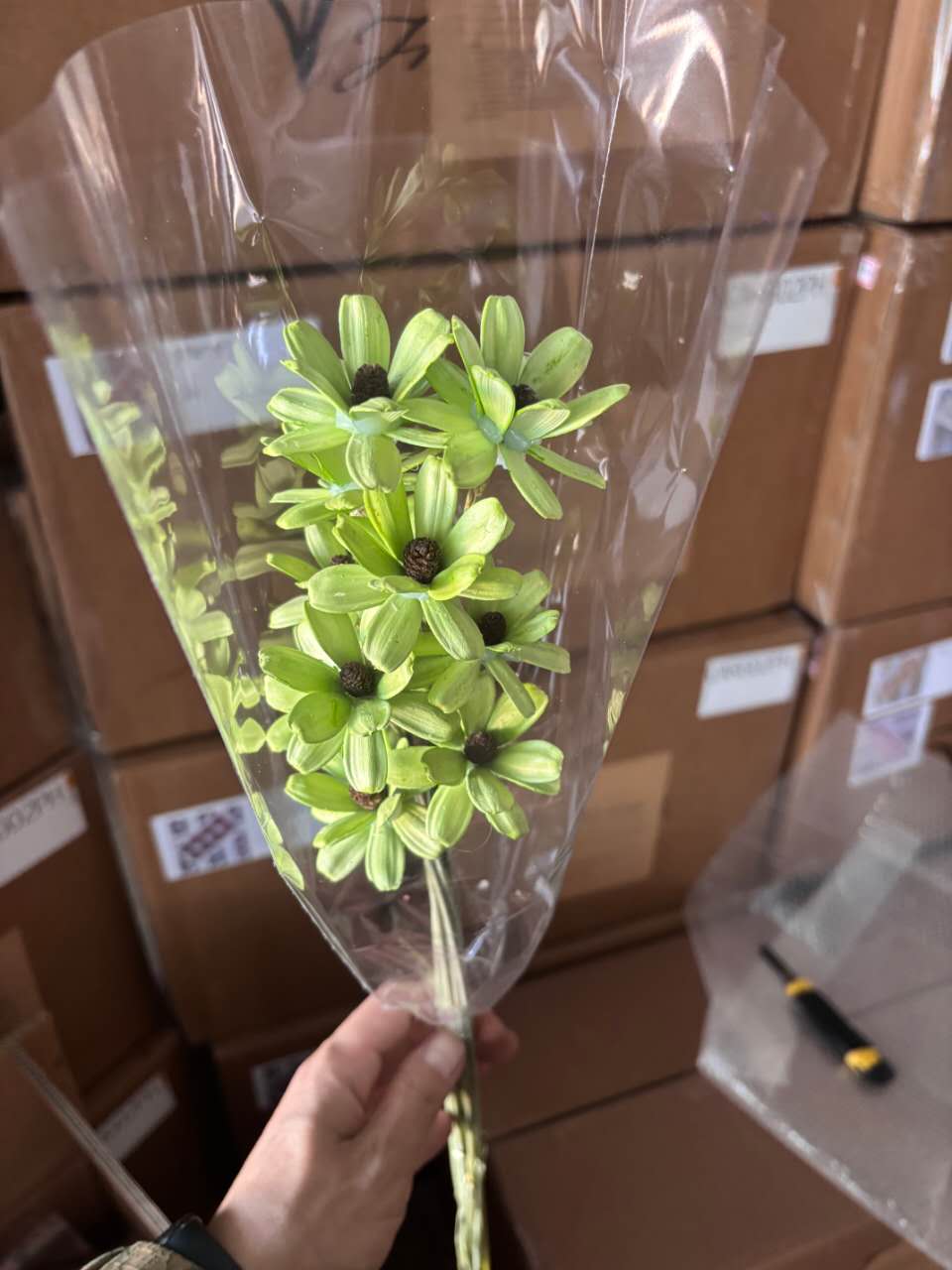Melon Seed Wood Flower