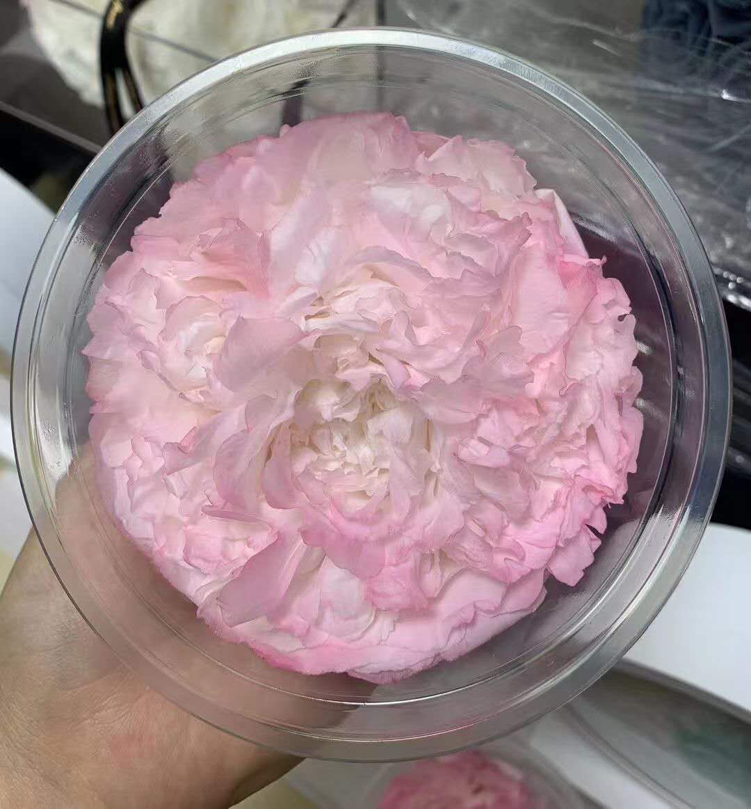 Peony