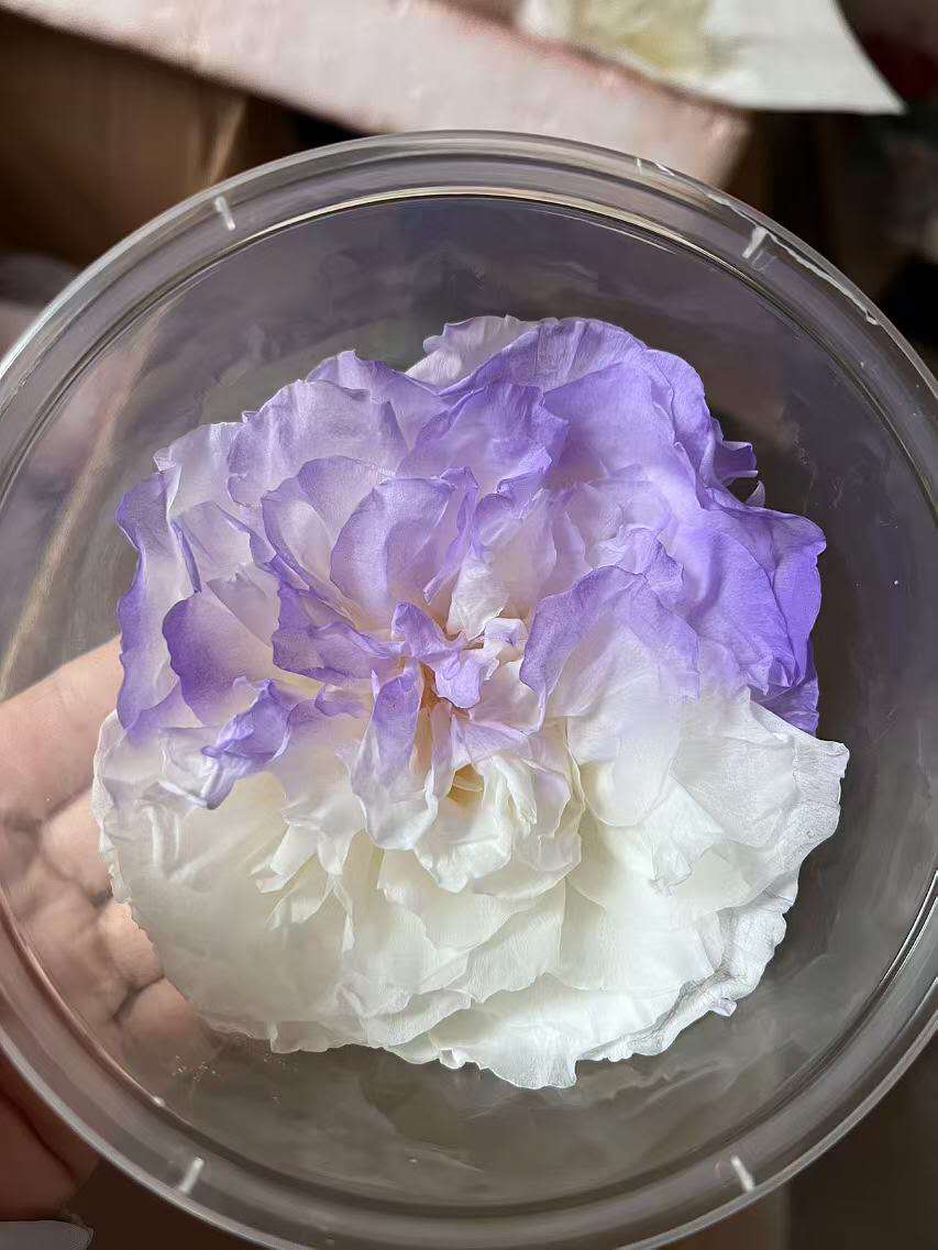 Peony