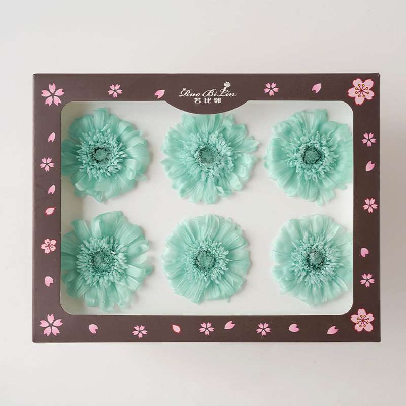 Gerbera