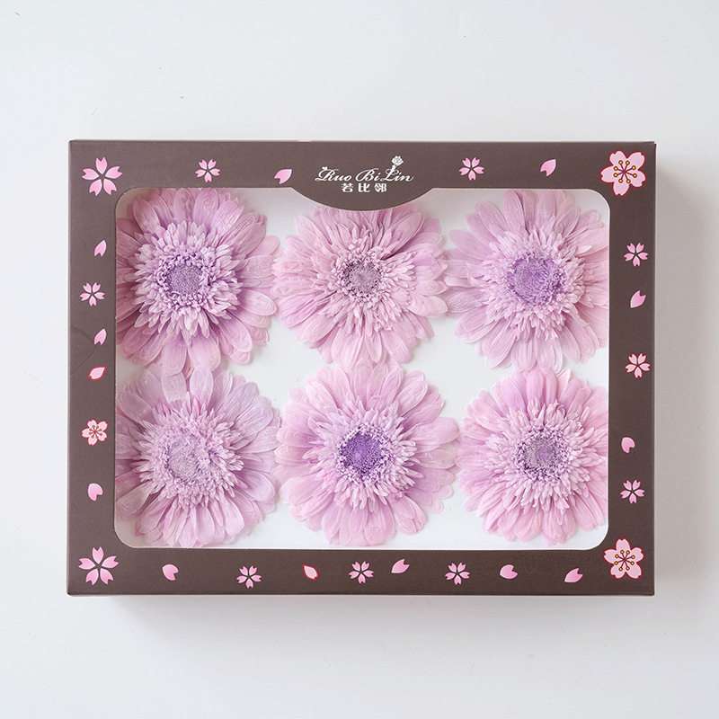 Gerbera