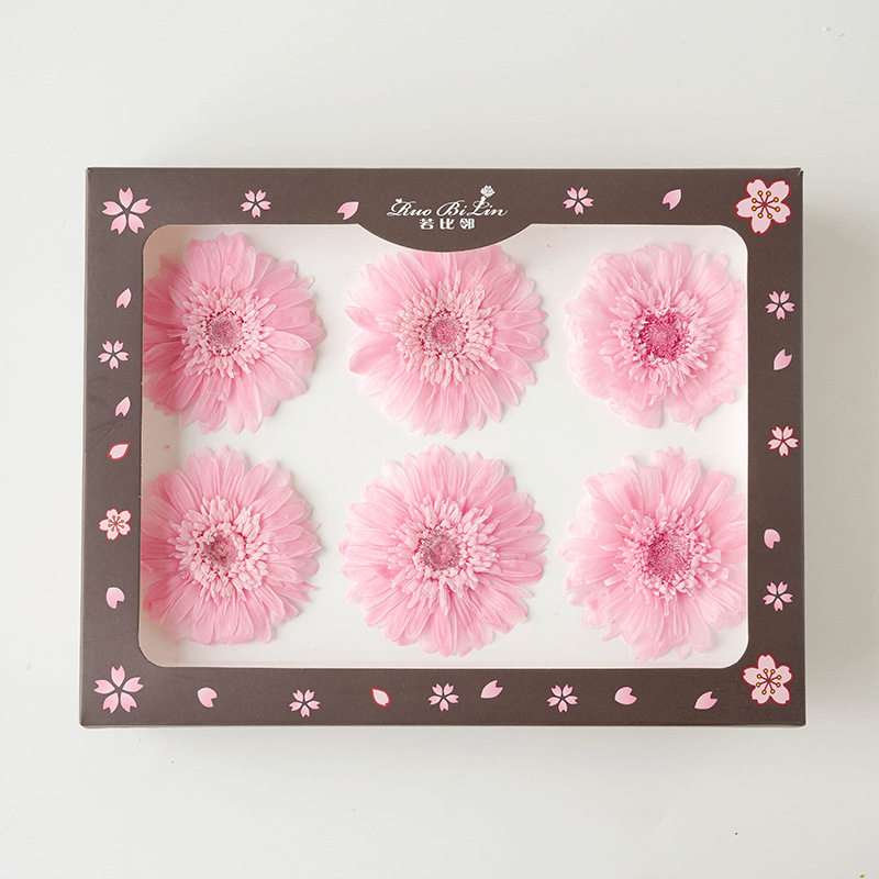 Gerbera