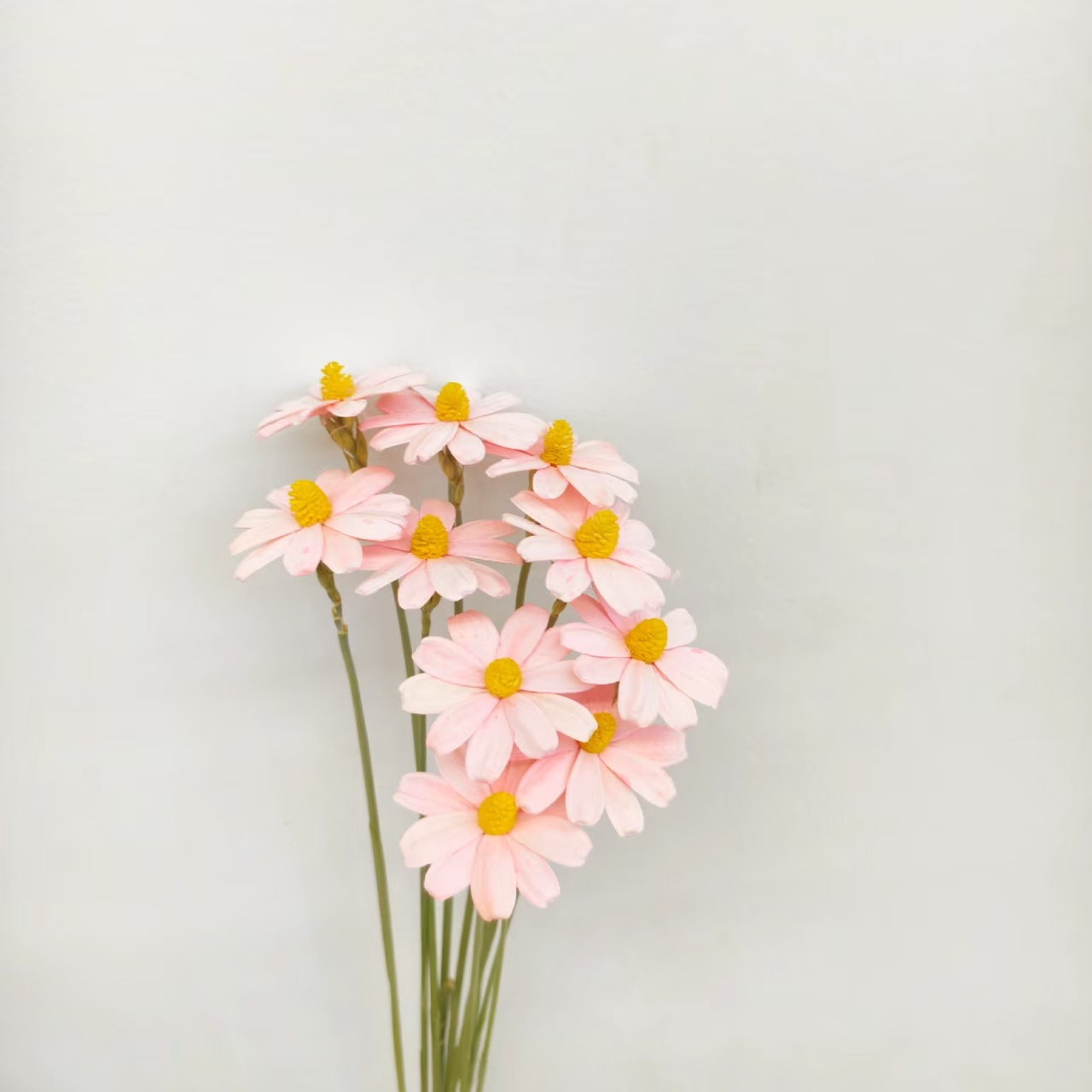 Sunflower Seed Wood Flower