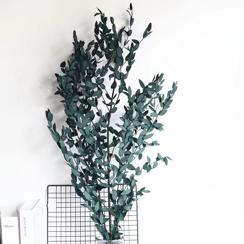 Parvy Leaves