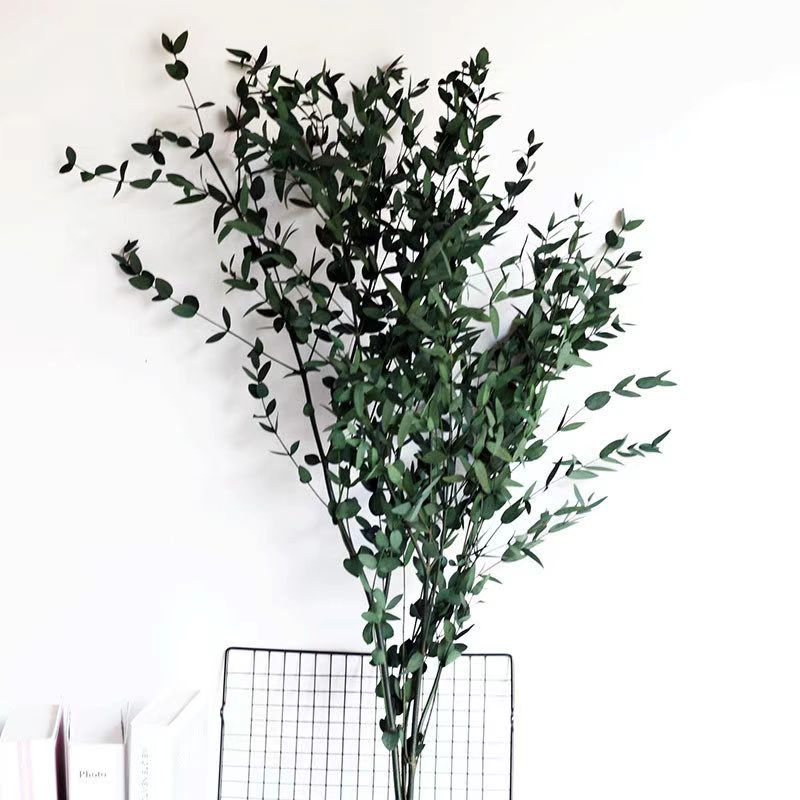 Parvy Leaves