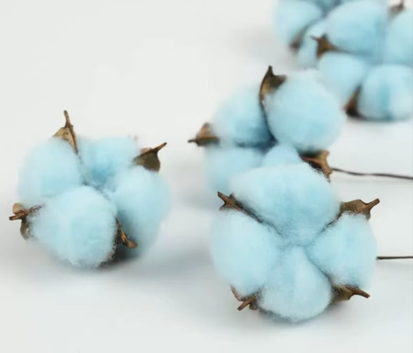 Cotton
