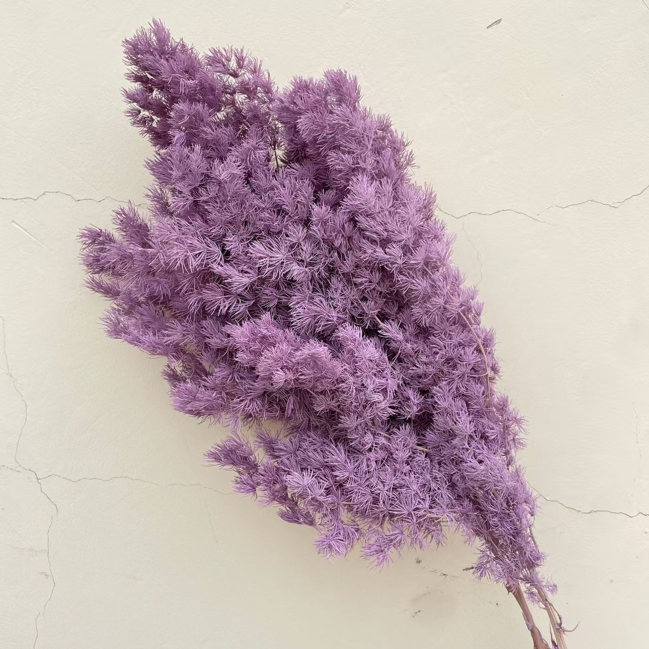Asparagus