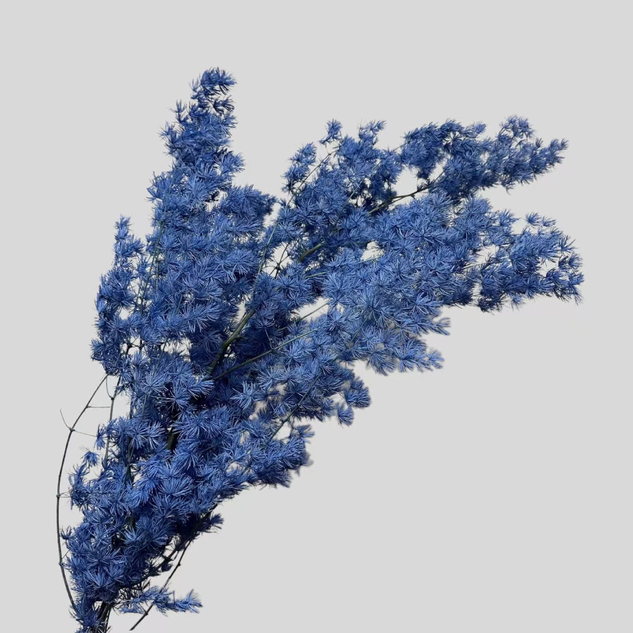Asparagus