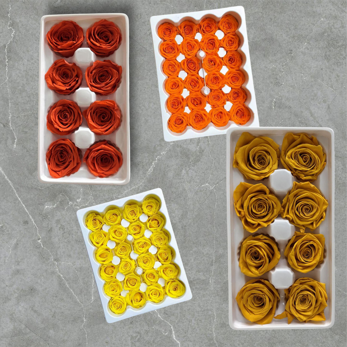 Preserved Rose