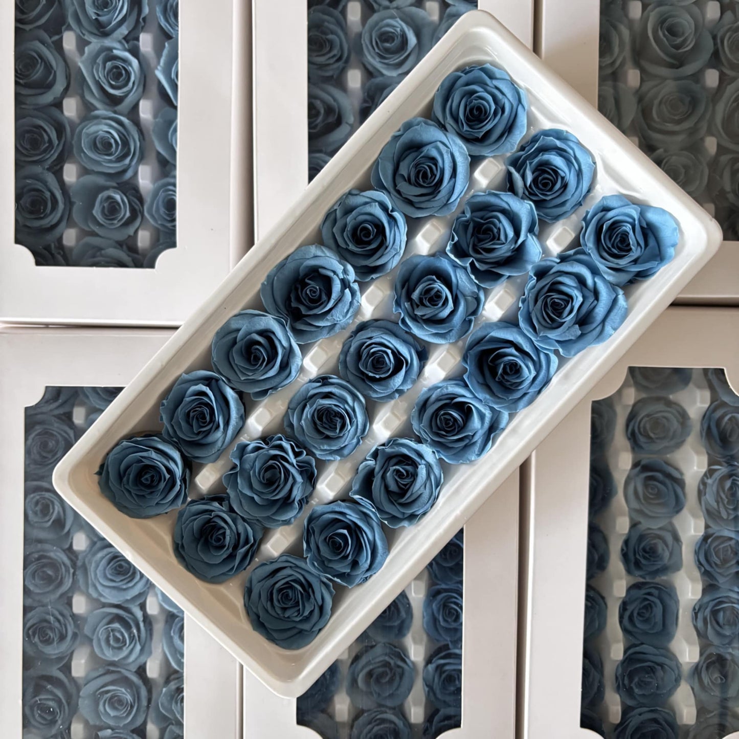 Preserved Rose