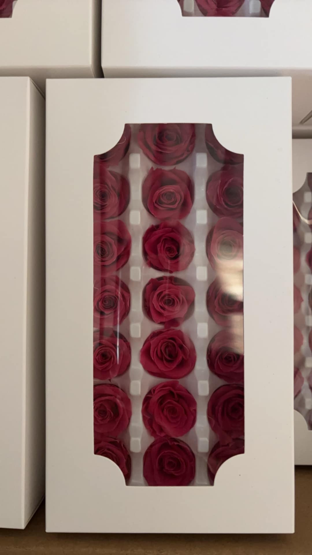 Preserved Rose