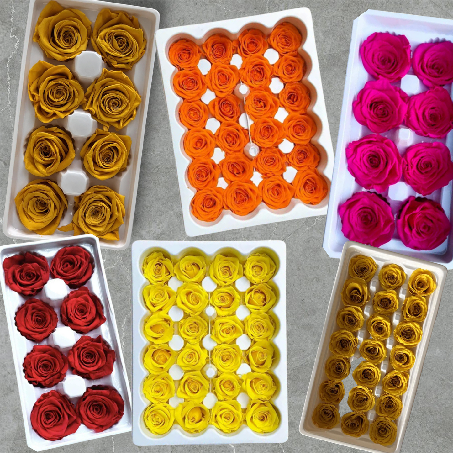Preserved Rose