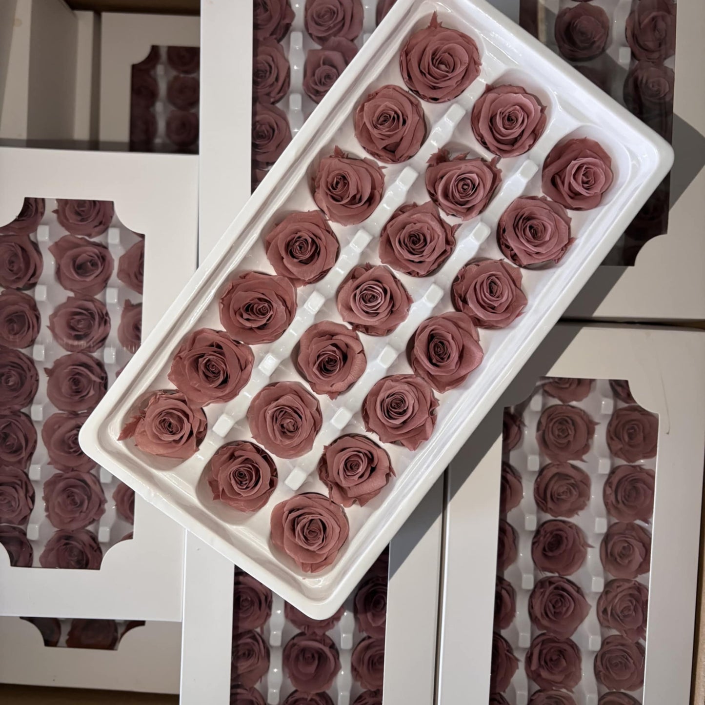 Preserved Rose