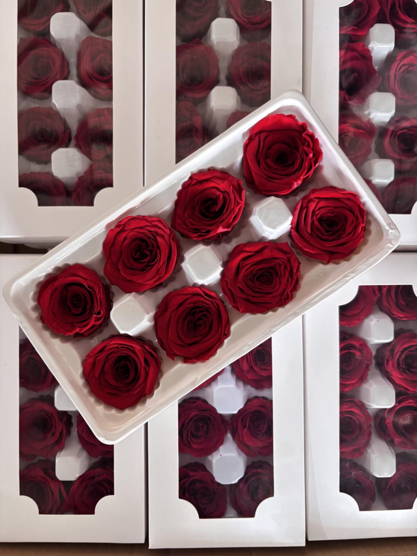 Preserved Rose