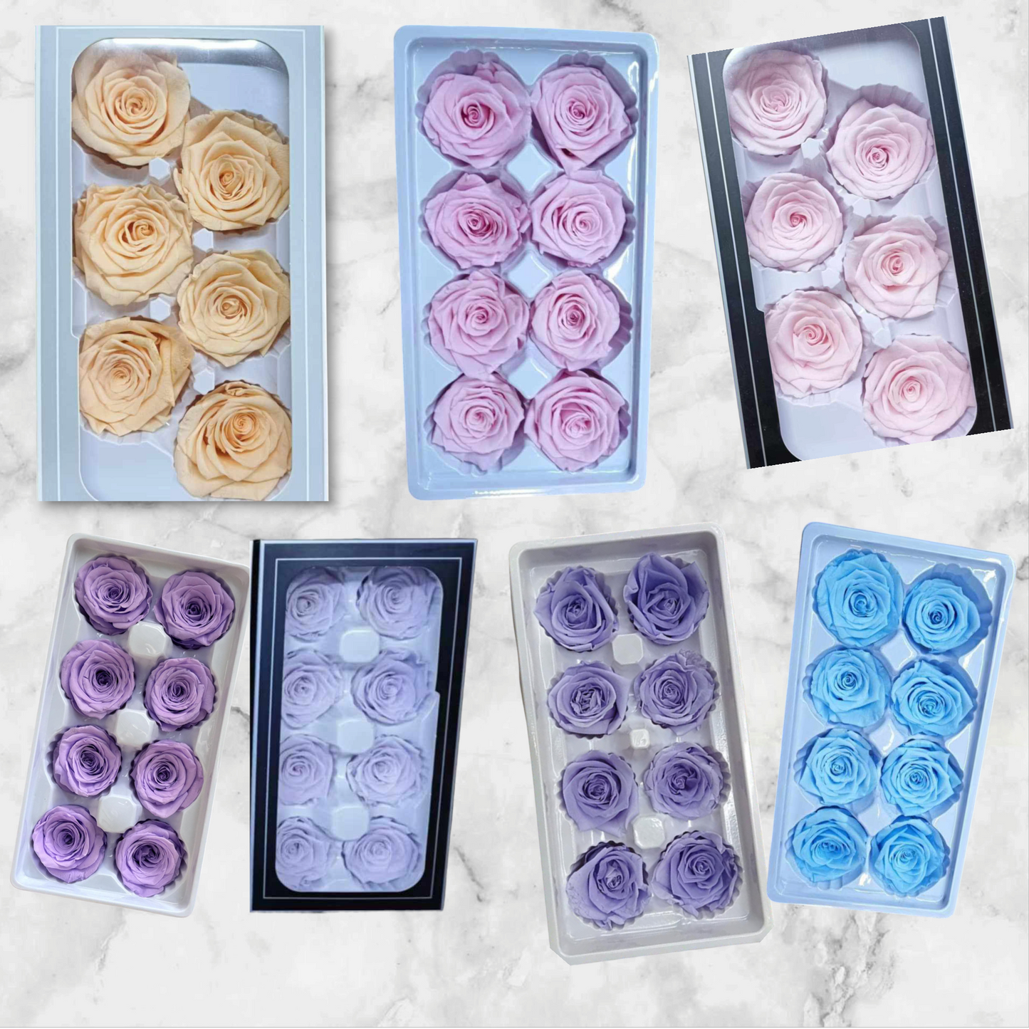 Preserved Rose