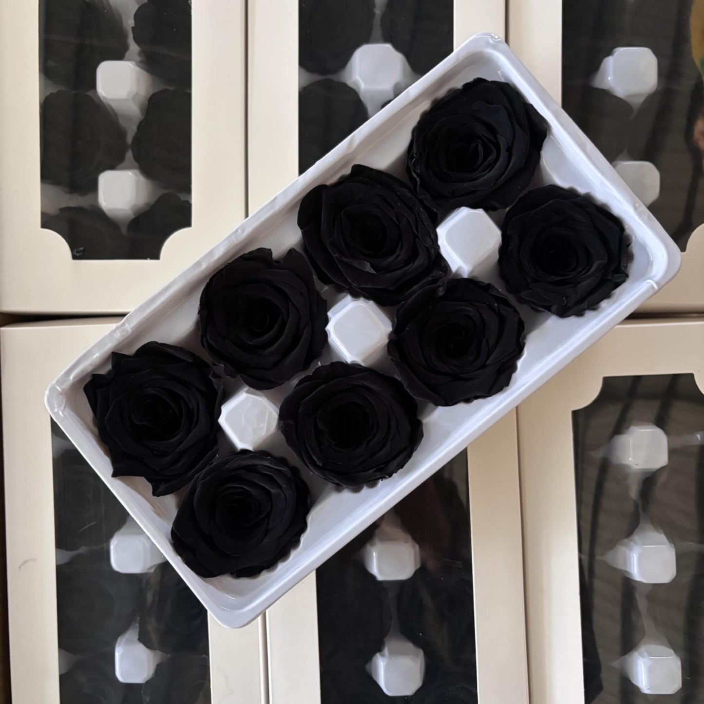 Preserved Rose