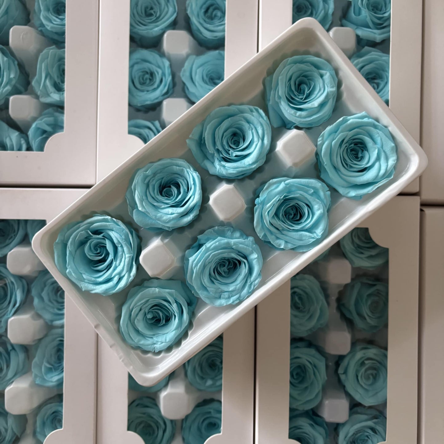 Preserved Rose