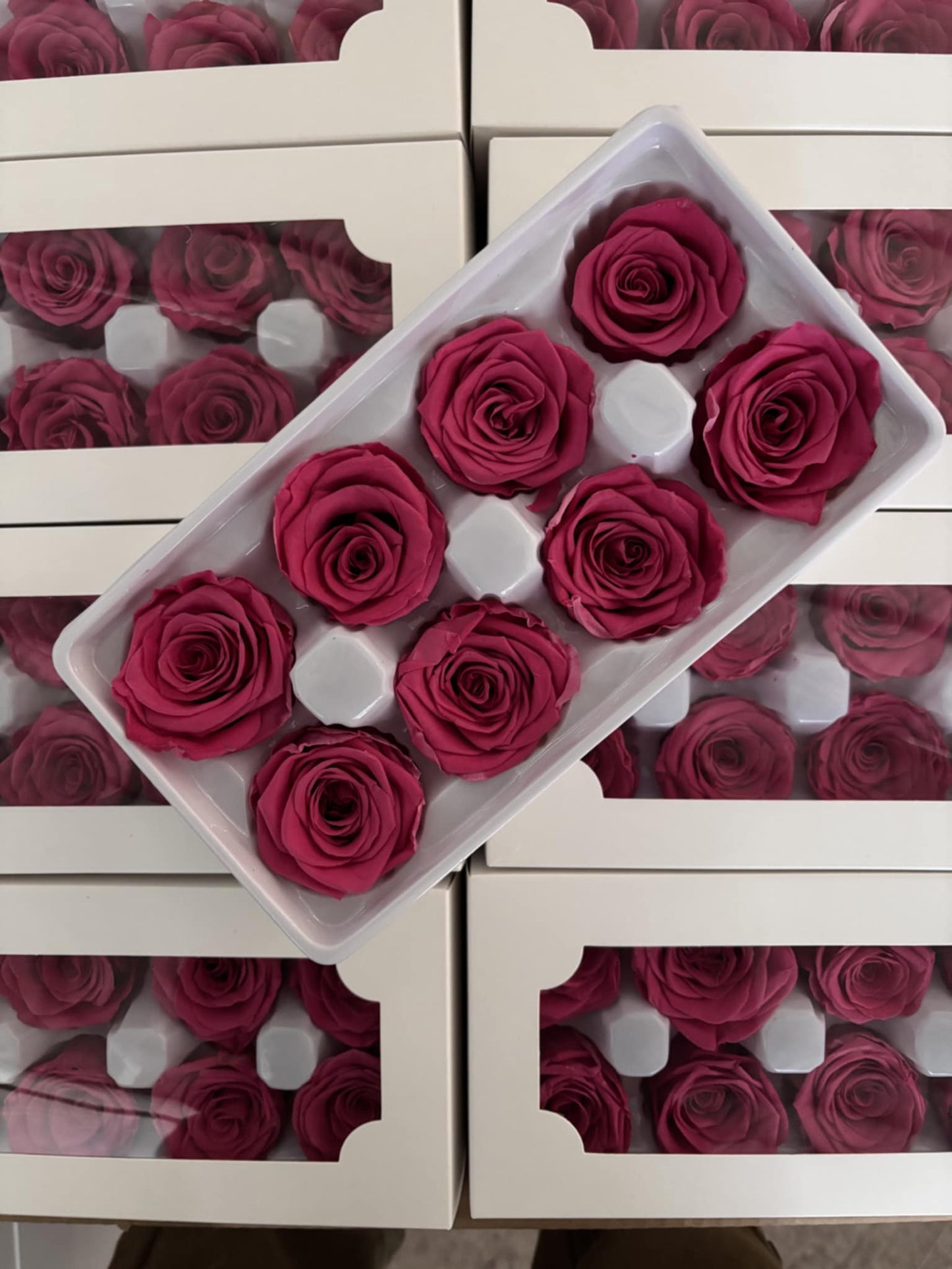 Preserved Rose
